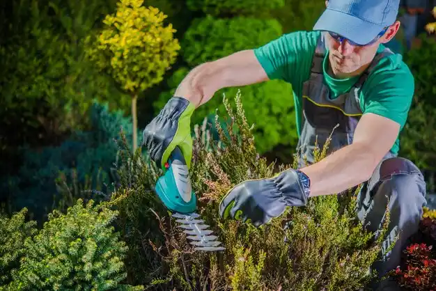 landscaping services Kiryas Joel